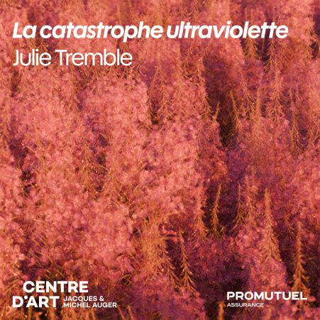 La catastrophe ultraviolette