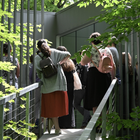 Visite guidée gratuite de l’exposition « La lune scintille alors que nous transportons nos souvenirs »