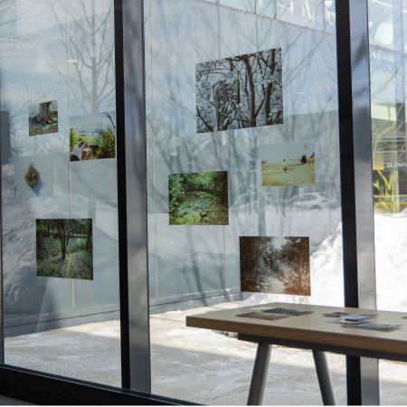 Causerie / sortie de résidence Sur la piste du merlebleu