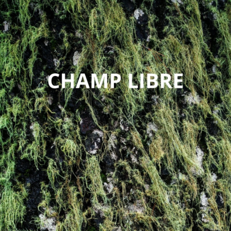Champ libre