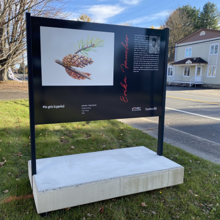 De nouveaux panneaux d&rsquo;exposition pour mettre en lumi&egrave;re des artistes de la MRC dans leur communaut&eacute;