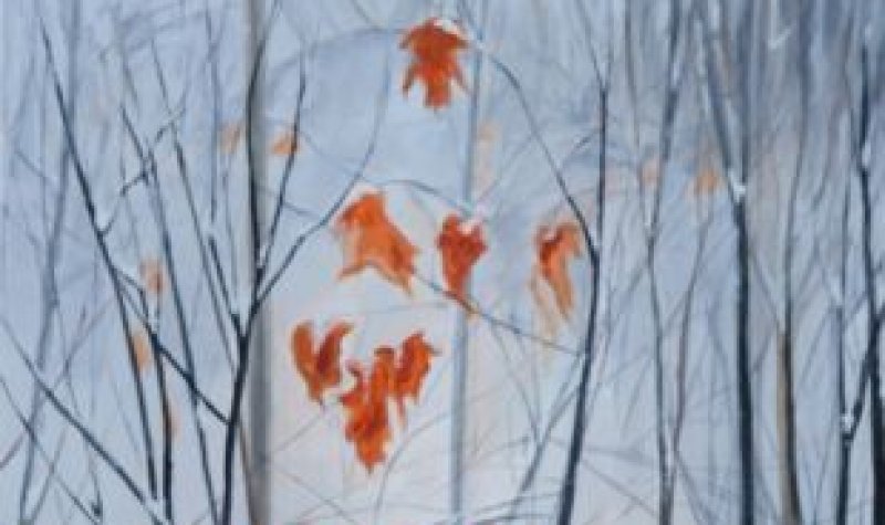 « L'Art de l'hiver » une exposition de Sylvia Audet à la MRC d'Arthabaska